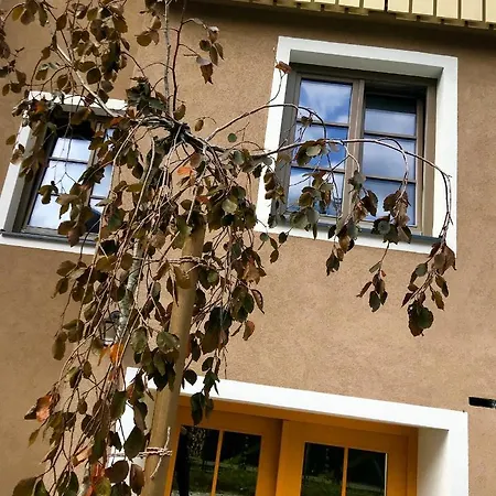 Apartman Summer House